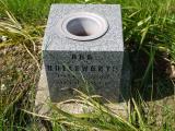 image of grave number 267650